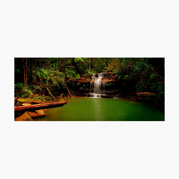Blue Mountains, New South Wales. Photographic Print