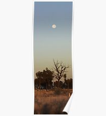 Outback Moon Poster