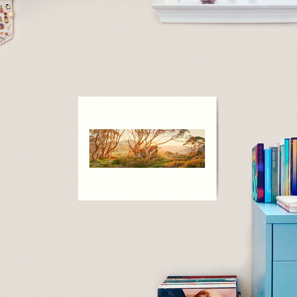 Charlotte Pass Trees, Kosciuszko, New South Wales, Australia Art Print