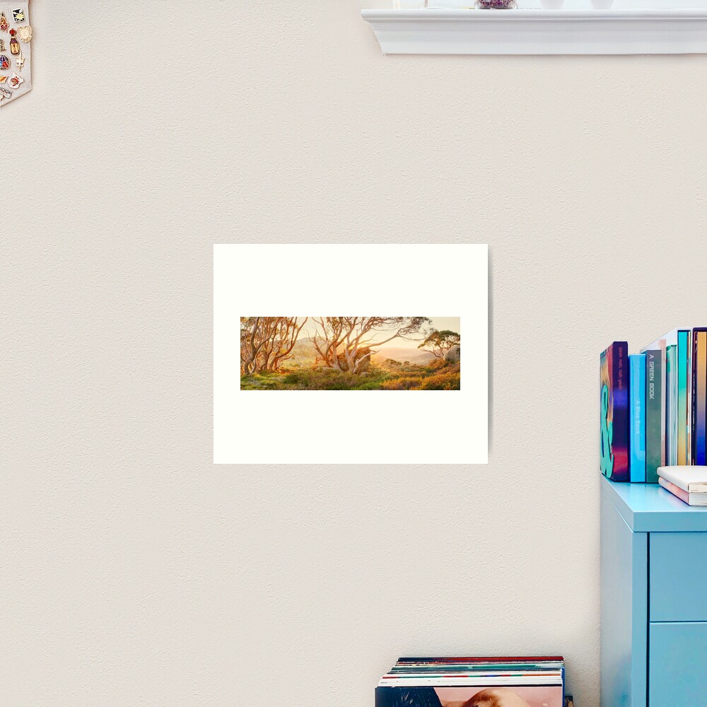 Charlotte Pass Trees, Kosciuszko, New South Wales, Australia Art Print