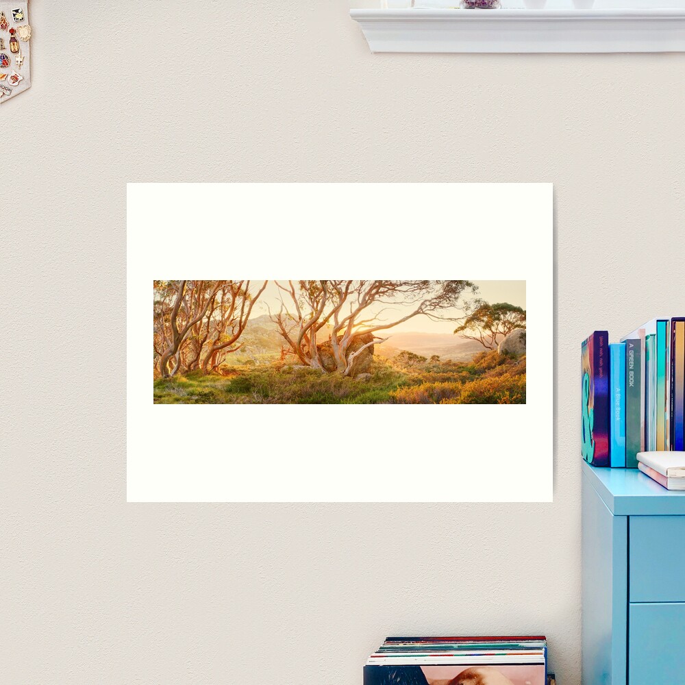 Charlotte Pass Trees, Kosciuszko, New South Wales, Australia Art Print