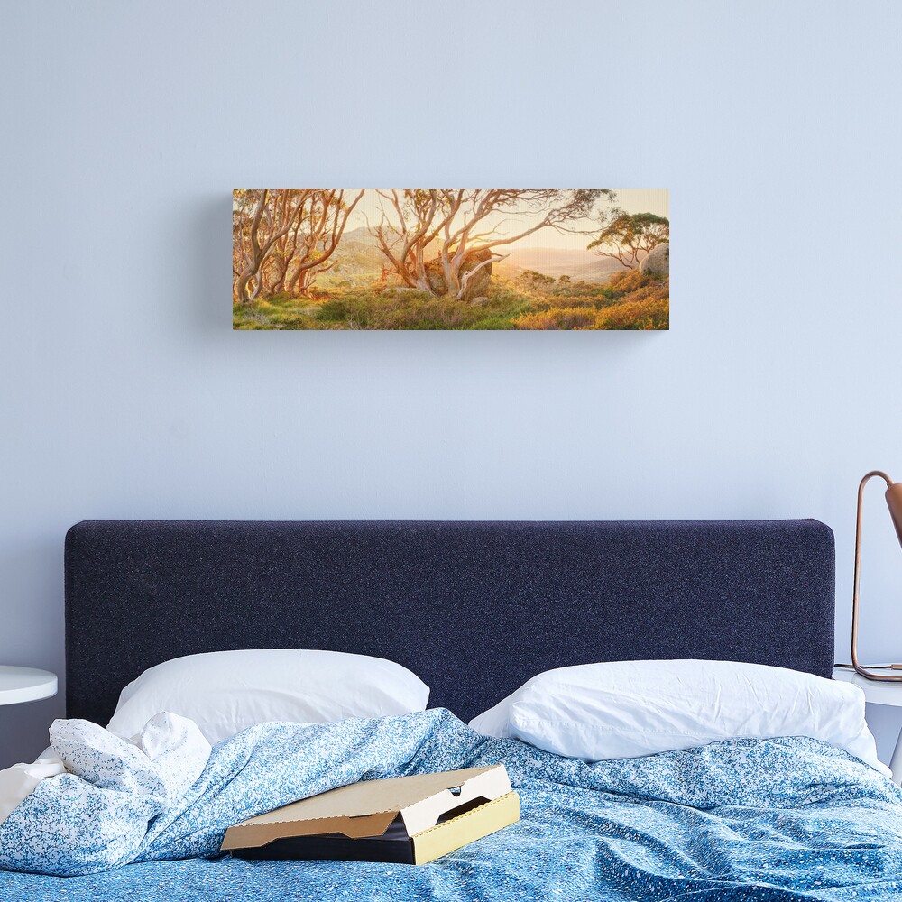 Charlotte Pass Trees, Kosciuszko, New South Wales, Australia Canvas Print