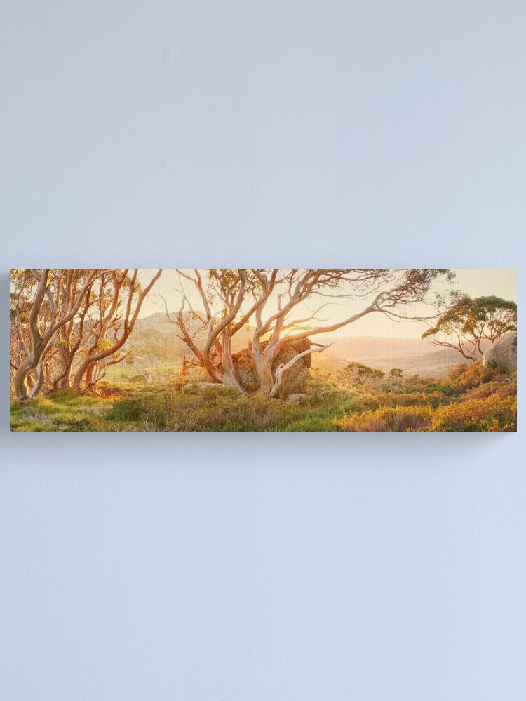 Alternate view of Charlotte Pass Trees, Kosciuszko, New South Wales, Australia Canvas Print