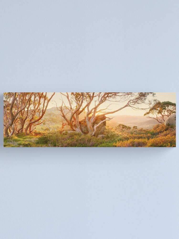 Alternate view of Charlotte Pass Trees, Kosciuszko, New South Wales, Australia Canvas Print