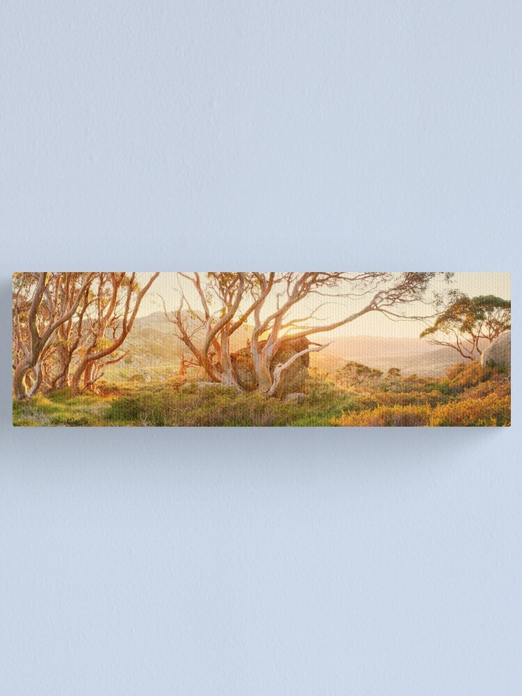 Alternate view of Charlotte Pass Trees, Kosciuszko, New South Wales, Australia Canvas Print