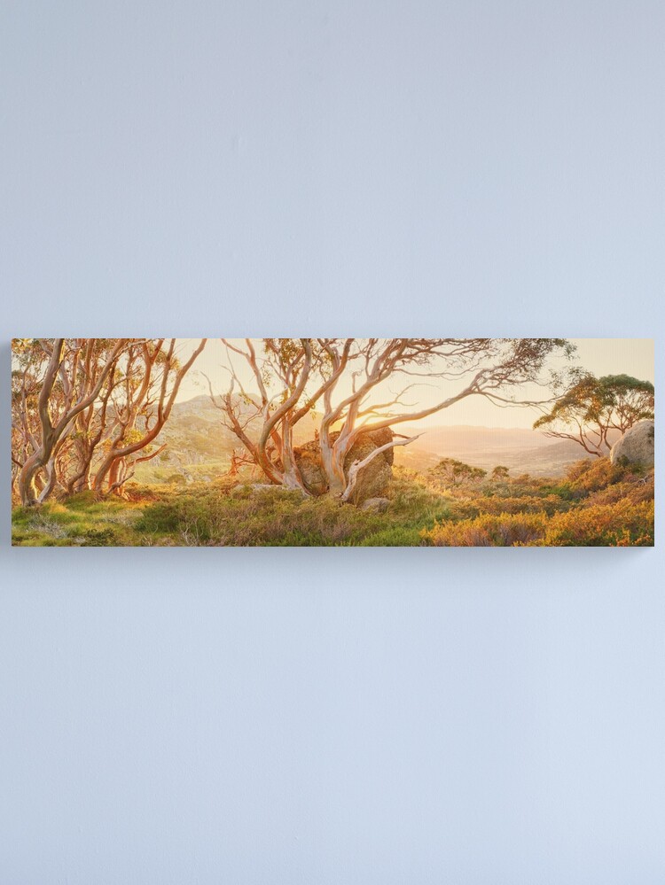 Alternate view of Charlotte Pass Trees, Kosciuszko, New South Wales, Australia Canvas Print