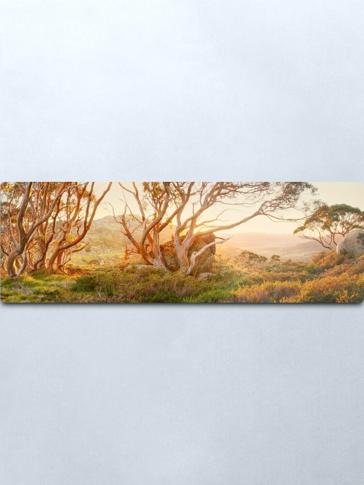 Alternate view of Charlotte Pass Trees, Kosciuszko, New South Wales, Australia Metal Print