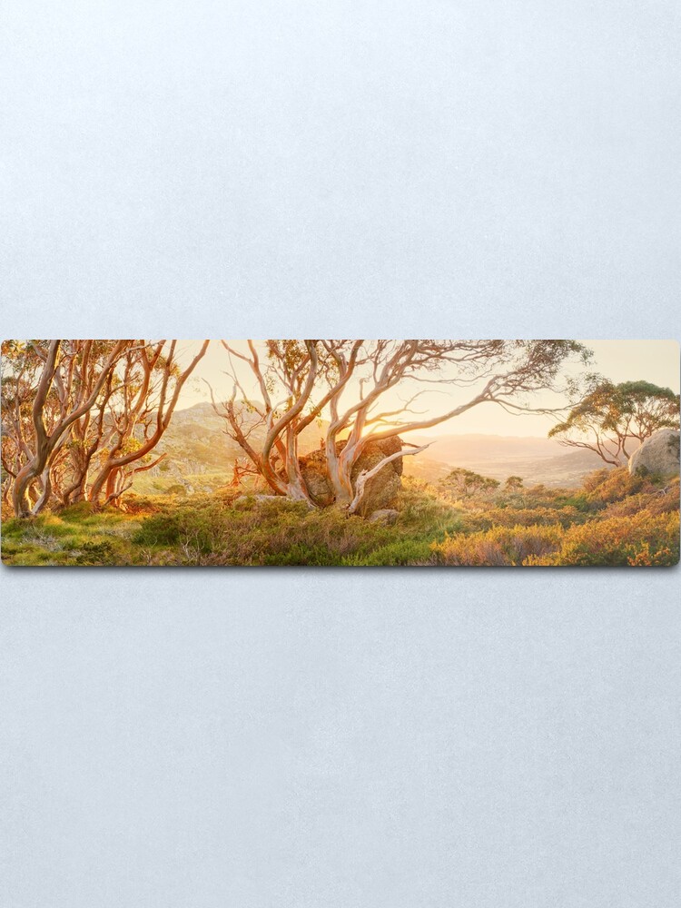 Alternate view of Charlotte Pass Trees, Kosciuszko, New South Wales, Australia Metal Print