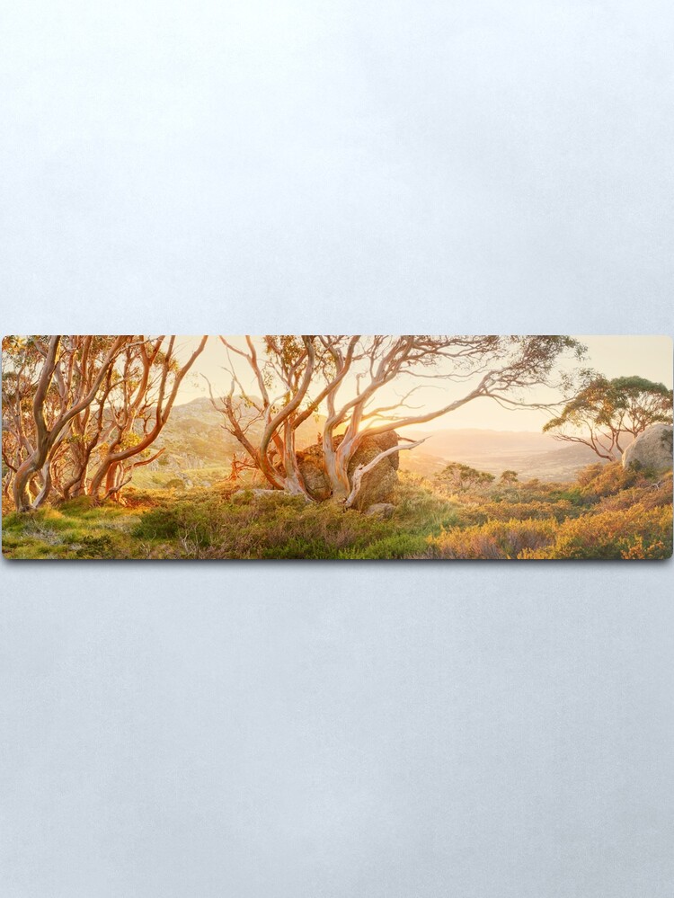 Alternate view of Charlotte Pass Trees, Kosciuszko, New South Wales, Australia Metal Print