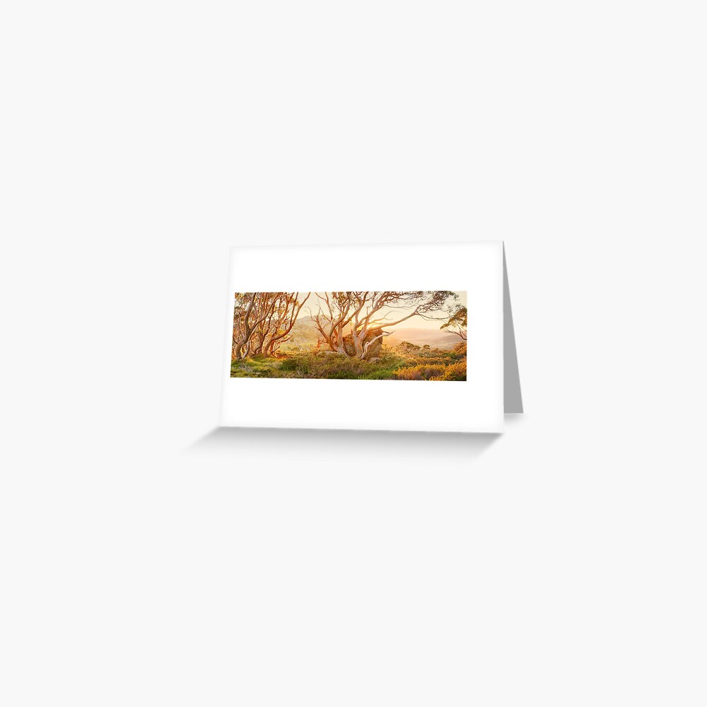 Charlotte Pass Trees, Kosciuszko, New South Wales, Australia Greeting Card
