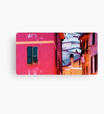 Pink walls Canvas Print