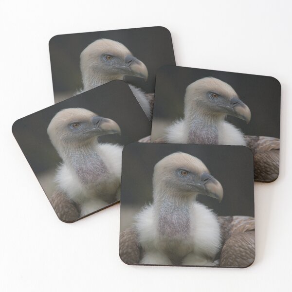 Item preview, Griffon Vulture Portrait designed and sold by rawshutterbug.