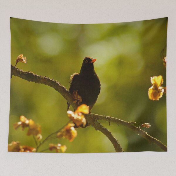 Item preview, SUNNING MY BABY FEATHERS designed and sold by NICK COBURN PHILLIPS.