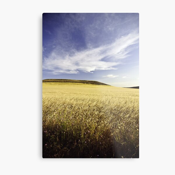cereal Metal Print