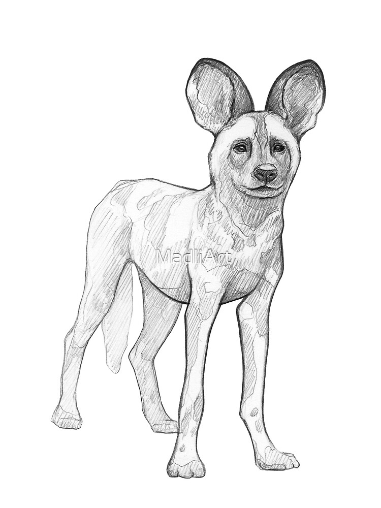 Tarjetas de felicitación «Perro manchado - Ilustración de arte - Bosquejo de línea de lápiz monocromático - Dibujo de MadliArt» de MadliArt | Redbubble Tarjetas de felicitación «Perro manchado - Ilustración de arte - Bosquejo de línea de lápiz monocromático - Dibujo de MadliArt» de MadliArt | Redbubble