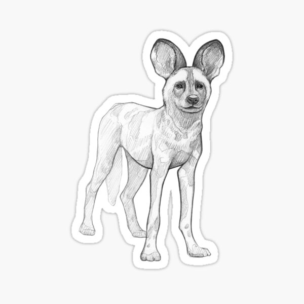 Spotted Dog - Art Illustration - Monochromatic Pencil Line Sketch - Drawing by MadliArt Sticker