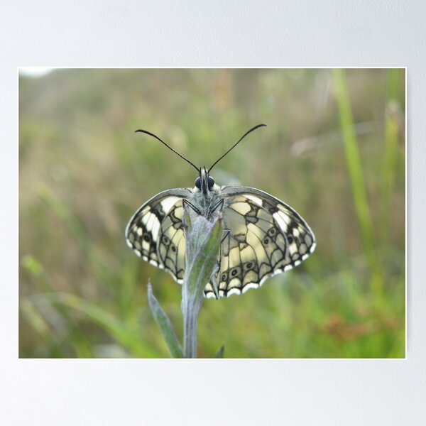 Item preview, From a different perspective designed and sold by Alison Finch.