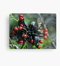Florida Spring Metal Print