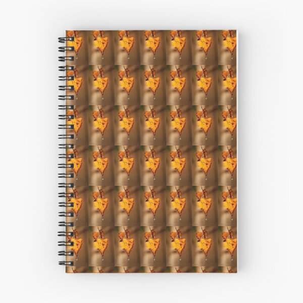 Item preview, Autumn Leaves designed and sold by ea-photos.