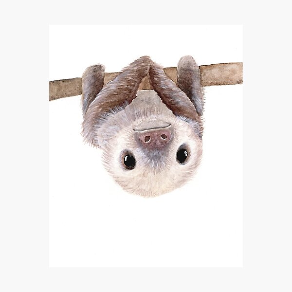 Decoracion Vivero De Perezosos Redbubble