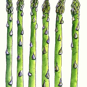 Artwork thumbnail, Ink and watercolor asparagus by purplesparrow