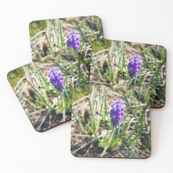 Item preview, Grape Hyacinth designed and sold by J Rier Photography.