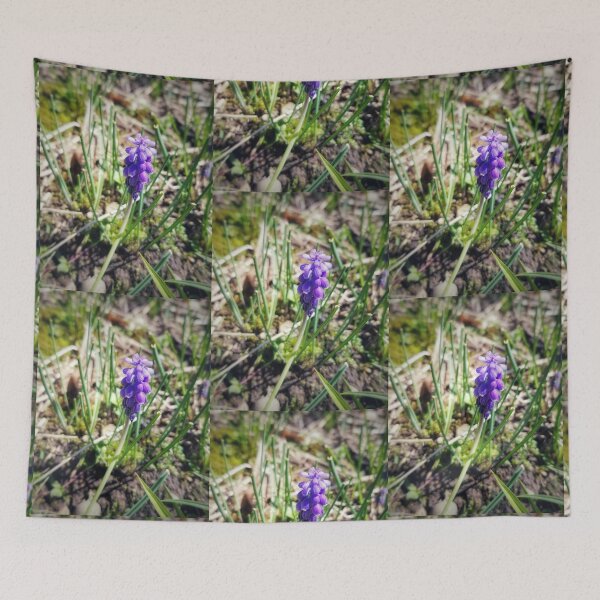Item preview, Grape Hyacinth designed and sold by J Rier Photography.