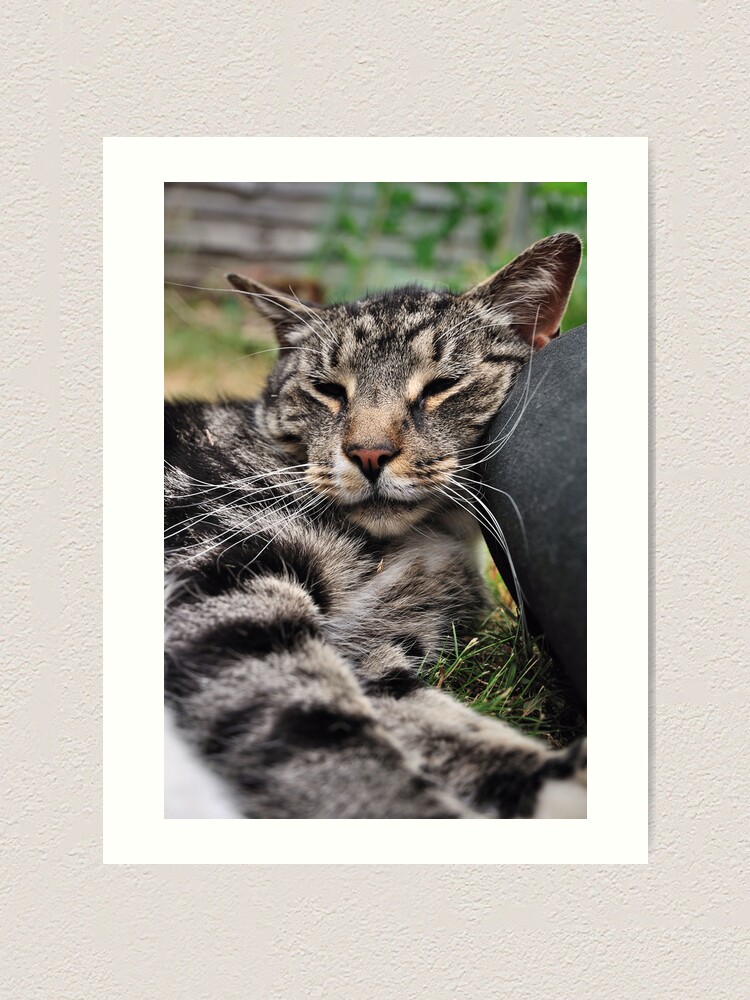 Alternate view of I Kneed a Pillow Art Print