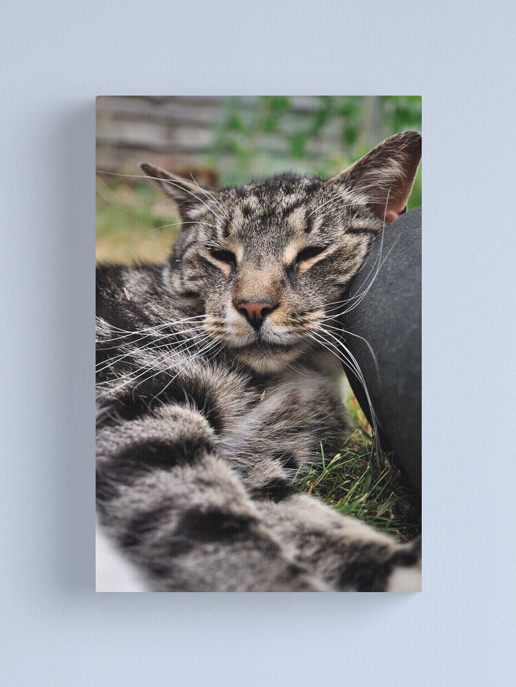 Alternate view of I Kneed a Pillow Canvas Print