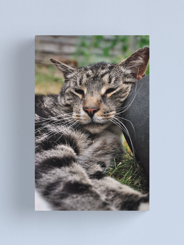 Alternate view of I Kneed a Pillow Canvas Print