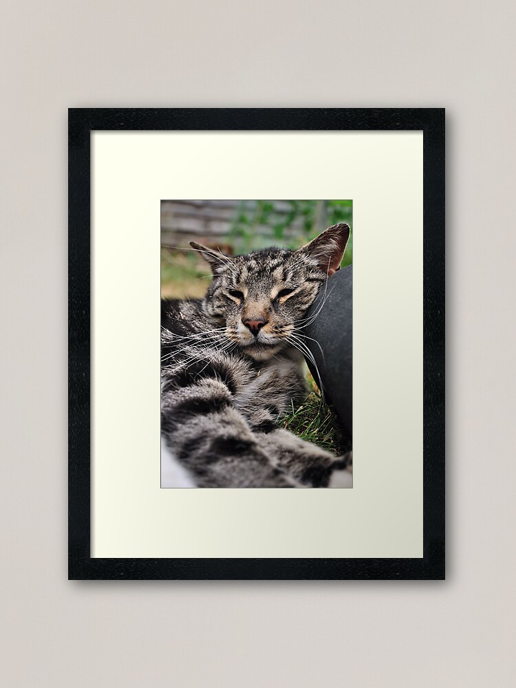 Alternate view of I Kneed a Pillow Framed Art Print