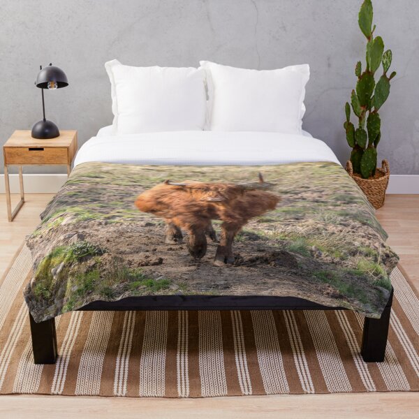 Item preview, Vaca highland escocesa designed and sold by HaleyRedshaw.