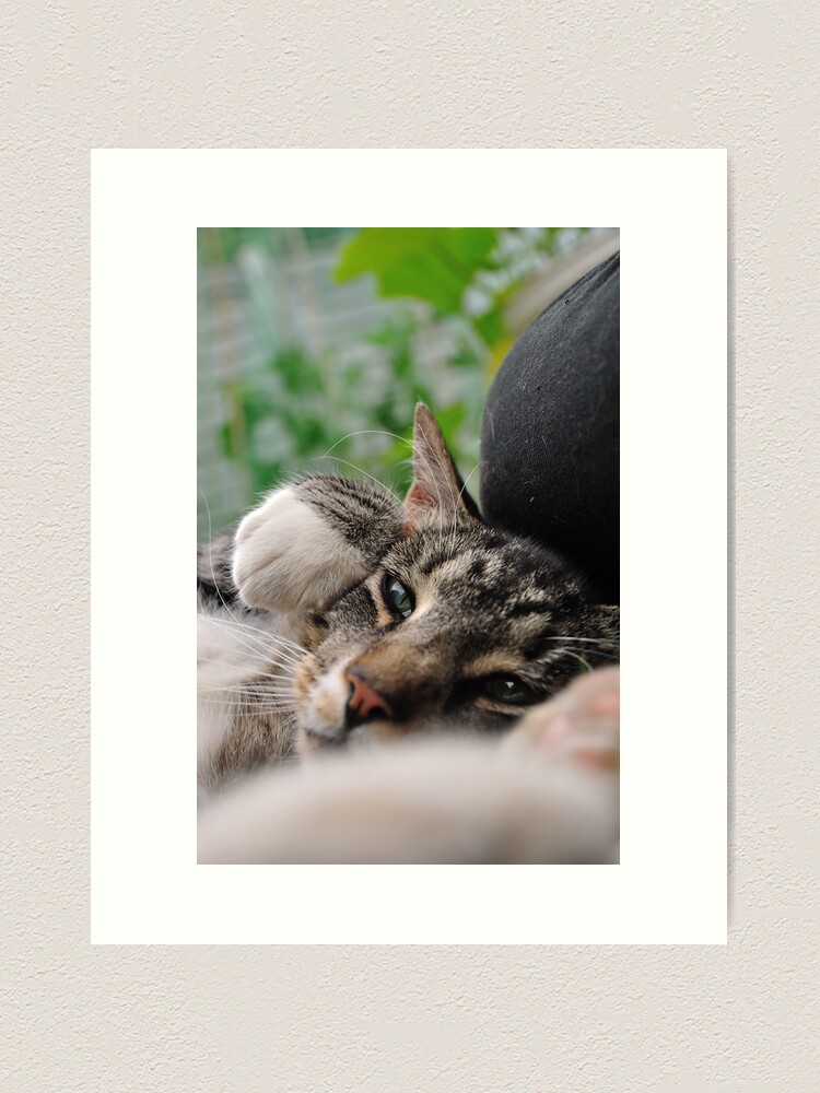 Alternate view of I'm a Tiger, Me Art Print