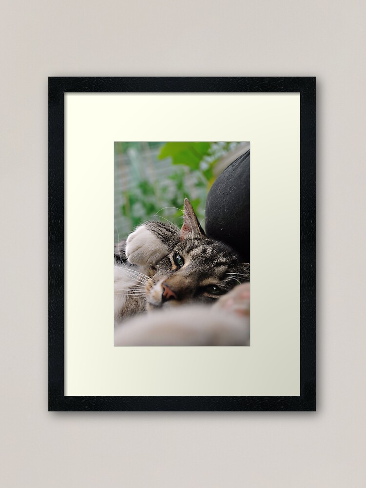 Alternate view of I'm a Tiger, Me Framed Art Print