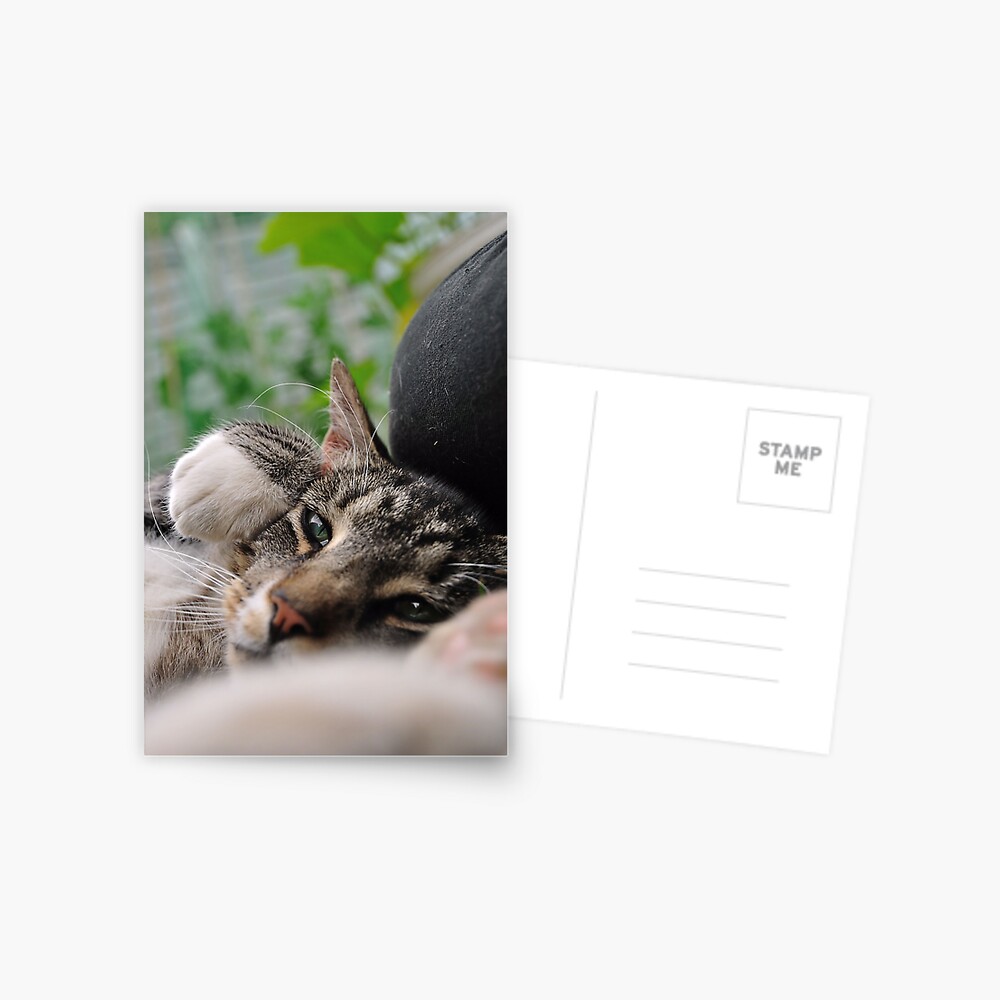 Item preview, Postcard designed and sold by pauleden.