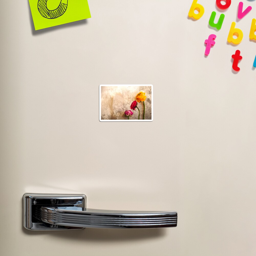 Item preview, Magnet designed and sold by Gben.