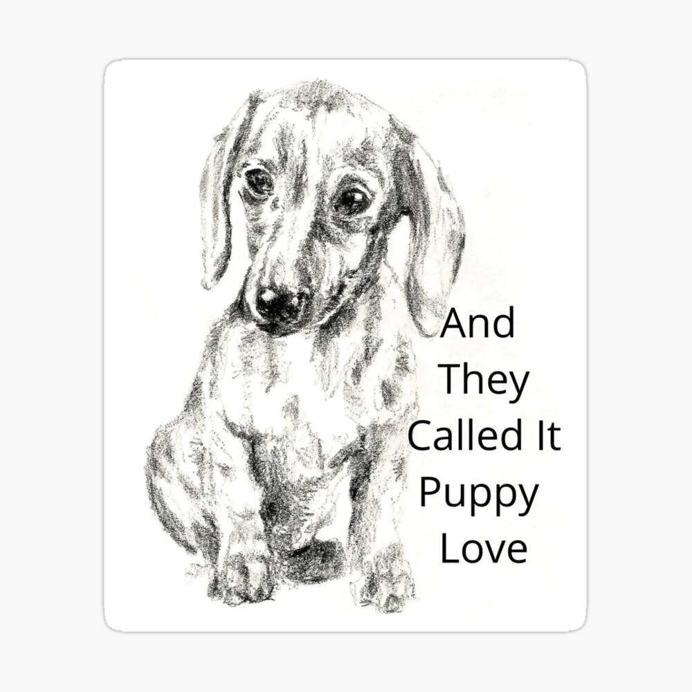 love dachshund hot dog puppy art board print by photozrus redbubble