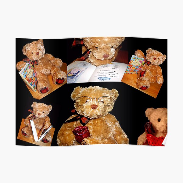 Teddy © Poster