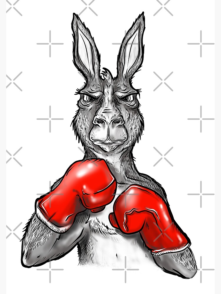 "boxing kangaroo roger" Poster for Sale by fer3407xzhtvz8 Redbubble