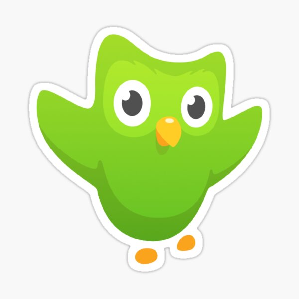 duolingo owl stuffed animal