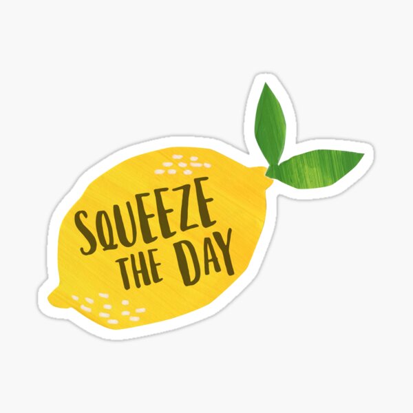 Stickers Northwest - Lemonade Pitcher, Squeeze the Day Sticker