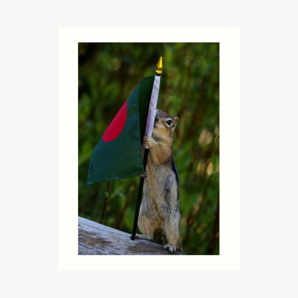 Jasper With The Flag of Bangladesh Art Print
