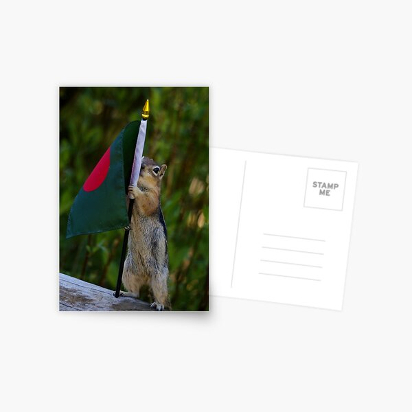 Jasper With The Flag of Bangladesh Postcard