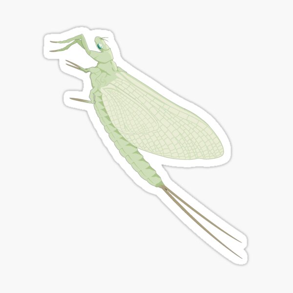 Mayfly Sticker