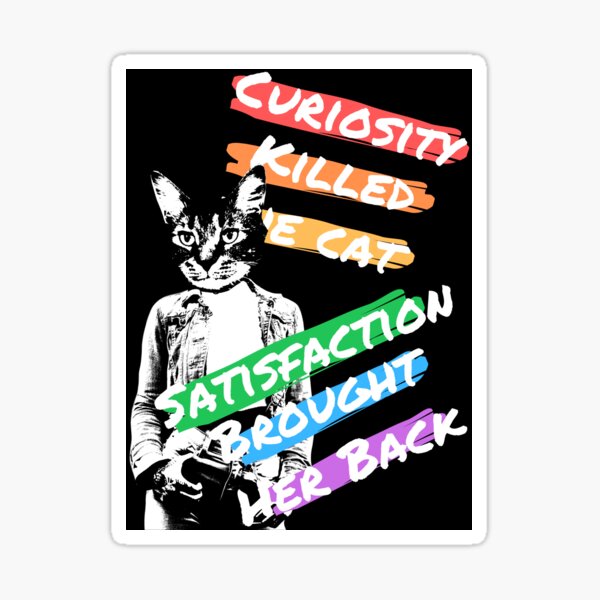 Curiosity Killed the Cat... Sticker