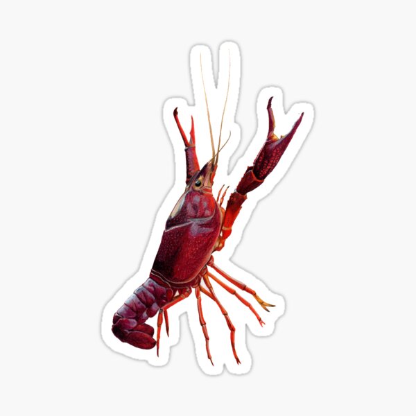 Item preview, Crawfish designed and sold by koshea23.