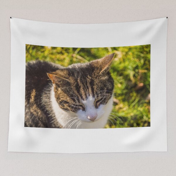 Item preview, Kitty in the Sun designed and sold by James Stokes.