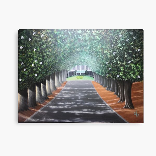 Sunrise Magnolia Lane Canvas Print