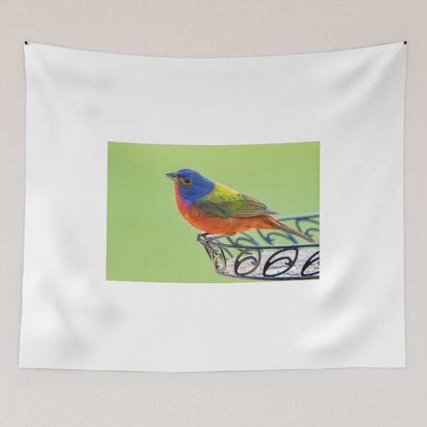 Item preview, Male Painted Bunting Arrives for Spring 2019 Nesting Season designed and sold by Bonnie T.  Barry.