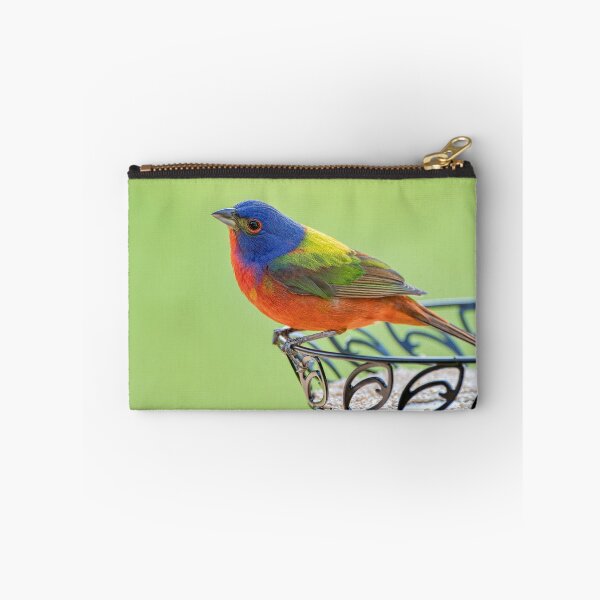 Item preview, El empavesado pintado masculino llega para la temporada de anidación de la primavera 2019 designed and sold by Bonnie T.  Barry.